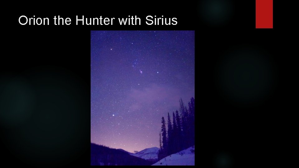 Orion the Hunter with Sirius 