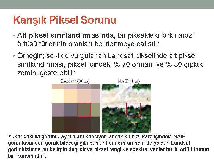 Karışık Piksel Sorunu • Alt piksel sınıflandırmasında, bir pikseldeki farklı arazi örtüsü türlerinin oranları