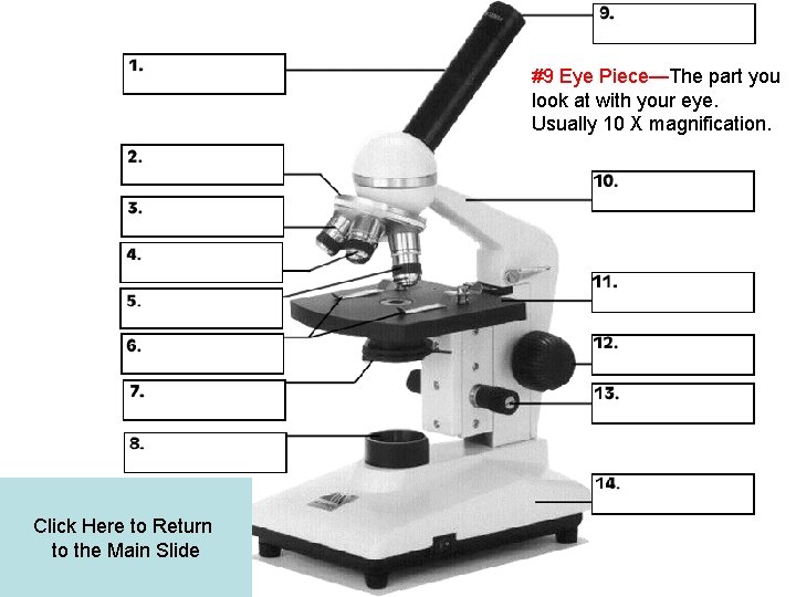 #9 Eye Piece—The part you look at with your eye. Usually 10 X magnification.