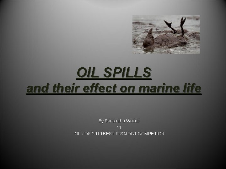 OIL SPILLS and their effect on marine life By Samantha Woods 11 IOI KIDS