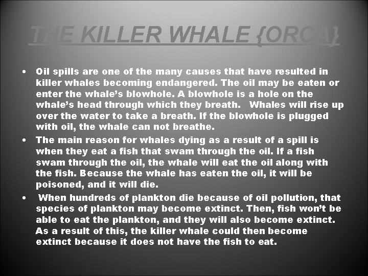 THE KILLER WHALE {ORCA} • Oil spills are one of the many causes that