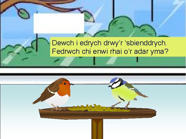 Dewch i edrych drwy’r ‘sbienddrych. Fedrwch chi enwi rhai o’r adar yma? Dewch i edrych drwy’r ‘sbienddrych. Fedrwch chi enwi rhai o’r adar yma?