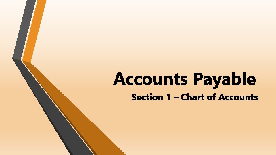 Accounts Payable Section 1 – Chart of Accounts 