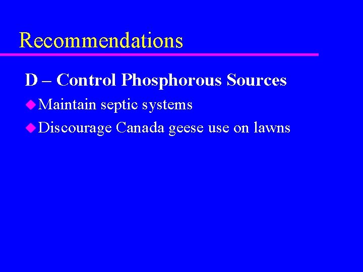 Recommendations D – Control Phosphorous Sources u Maintain septic systems u Discourage Canada geese