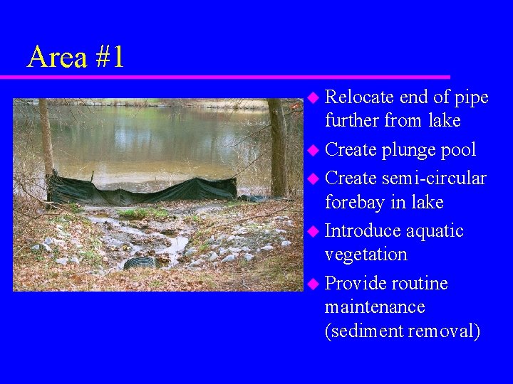 Area #1 u Relocate end of pipe further from lake u Create plunge pool