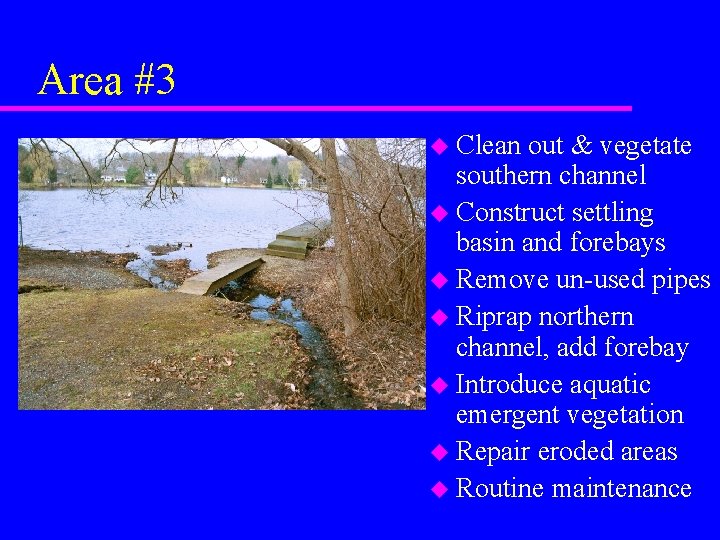 Area #3 u Clean out & vegetate southern channel u Construct settling basin and