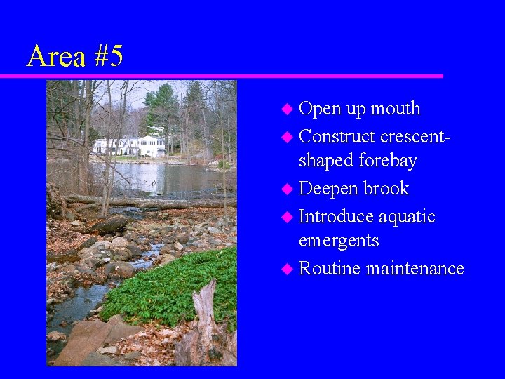 Area #5 u Open up mouth u Construct crescentshaped forebay u Deepen brook u