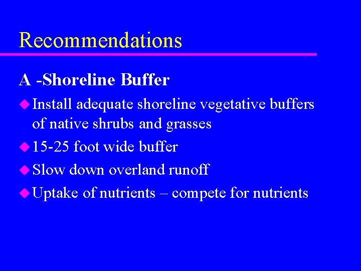 Recommendations A -Shoreline Buffer u Install adequate shoreline vegetative buffers of native shrubs and