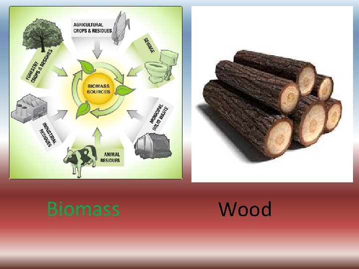 Biomass Wood 