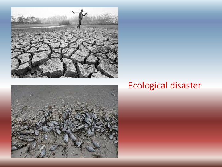 Ecological disaster 