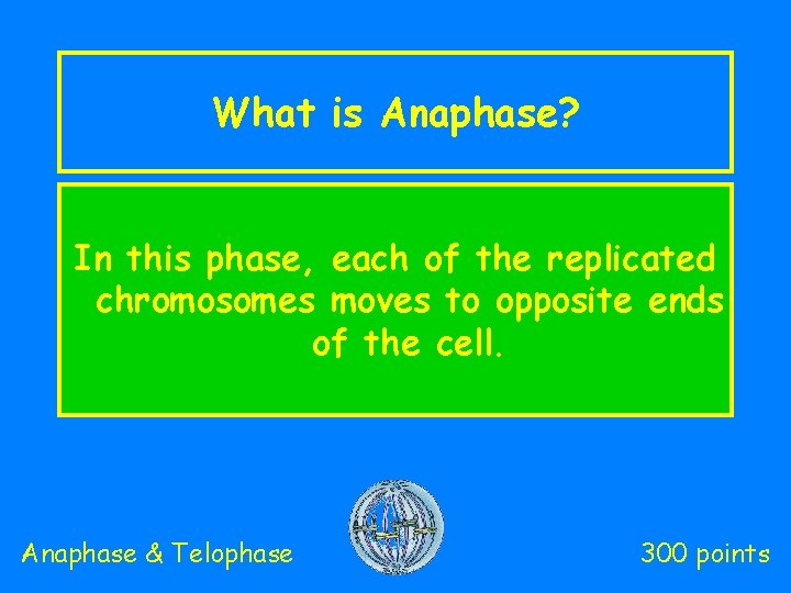 What is Anaphase? In this phase, each of the replicated chromosomes moves to opposite