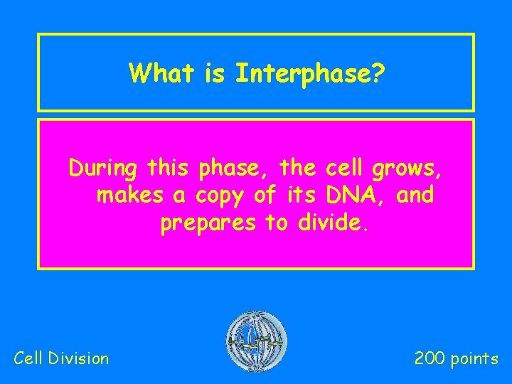 What is Interphase? During this phase, the cell grows, makes a copy of its