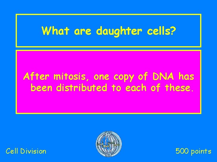 What are daughter cells? After mitosis, one copy of DNA has been distributed to