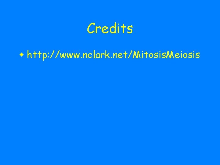 Credits w http: //www. nclark. net/Mitosis. Meiosis 
