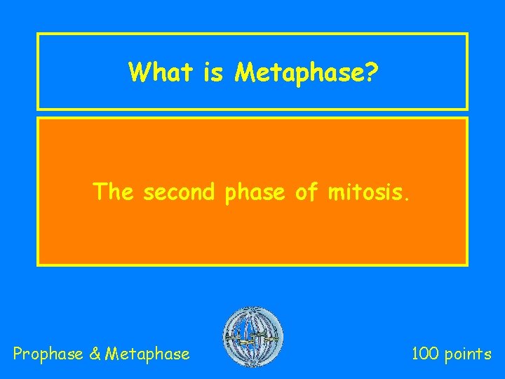 What is Metaphase? The second phase of mitosis. Prophase & Metaphase 100 points 