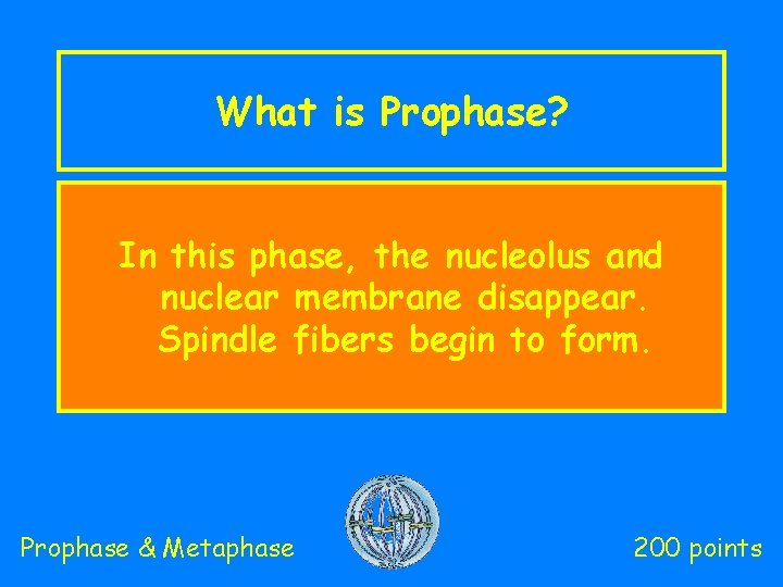 What is Prophase? In this phase, the nucleolus and nuclear membrane disappear. Spindle fibers