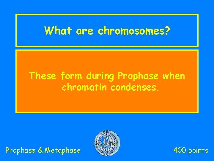 What are chromosomes? These form during Prophase when chromatin condenses. Prophase & Metaphase 400