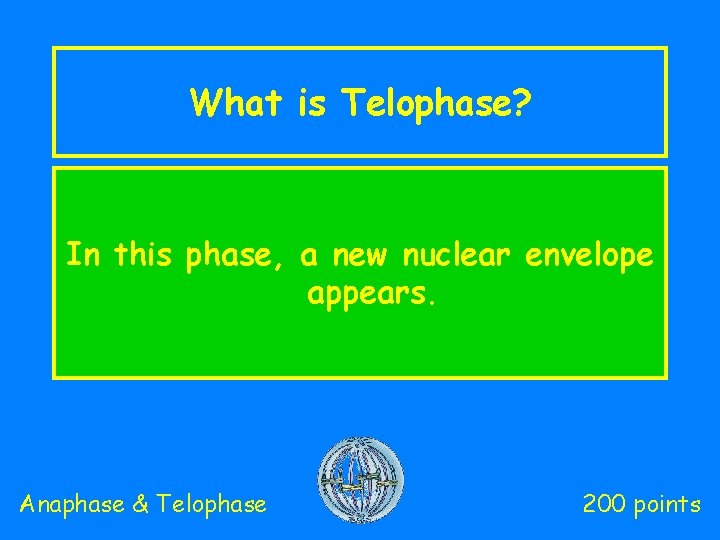 What is Telophase? In this phase, a new nuclear envelope appears. Anaphase & Telophase