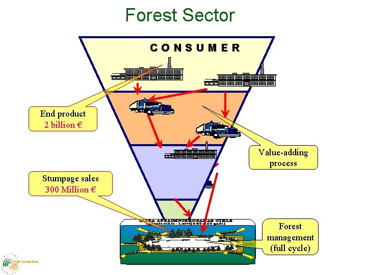 Forest Sector CONSUMER End product 2 billion € Value-adding process Stumpage sales 300 Million