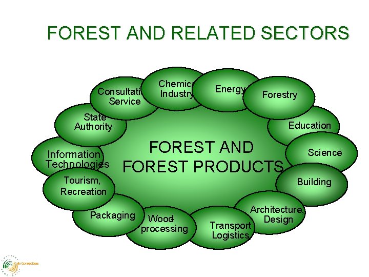 FOREST AND RELATED SECTORS Chemical Consultation Industry Service Energy Forestry State Authority Information Technologies