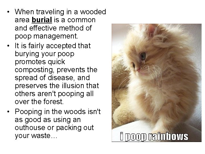 • When traveling in a wooded area burial is a common and effective • When traveling in a wooded area burial is a common and effective