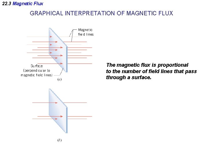 22. 3 Magnetic Flux GRAPHICAL INTERPRETATION OF MAGNETIC FLUX The magnetic flux is proportional