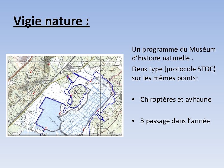 Vigie nature : Un programme du Muséum d’histoire naturelle. Deux type (protocole STOC) sur