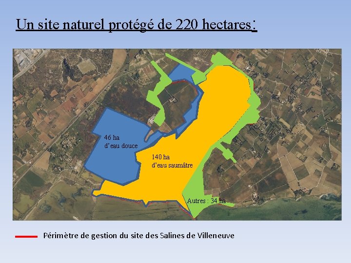 Un site naturel protégé de 220 hectares: 46 ha d’eau douce 140 ha d’eau