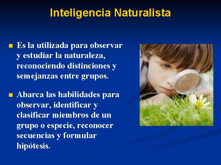Inteligencia Naturalista n Es la utilizada para observar y estudiar la naturaleza, reconociendo distinciones