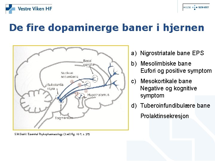 De fire dopaminerge baner i hjernen a) Nigrostriatale bane EPS b) Mesolimbiske bane Eufori