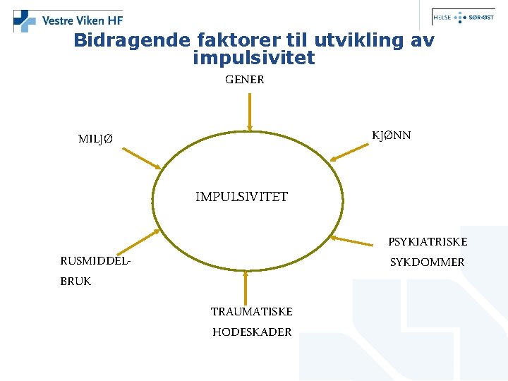 Bidragende faktorer til utvikling av impulsivitet GENER KJØNN MILJØ IMPULSIVITET PSYKIATRISKE SYKDOMMER RUSMIDDELBRUK TRAUMATISKE