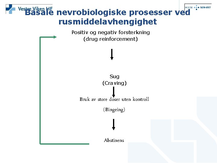 Basale nevrobiologiske prosesser ved rusmiddelavhengighet Positiv og negativ forsterkning (drug reinforcement) Sug (Craving) Bruk