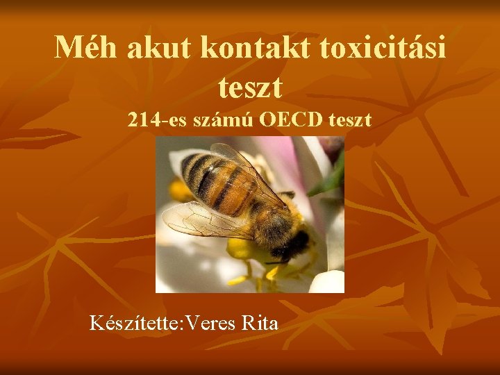 Méh akut kontakt toxicitási teszt 214 -es számú OECD teszt Készítette: Veres Rita 