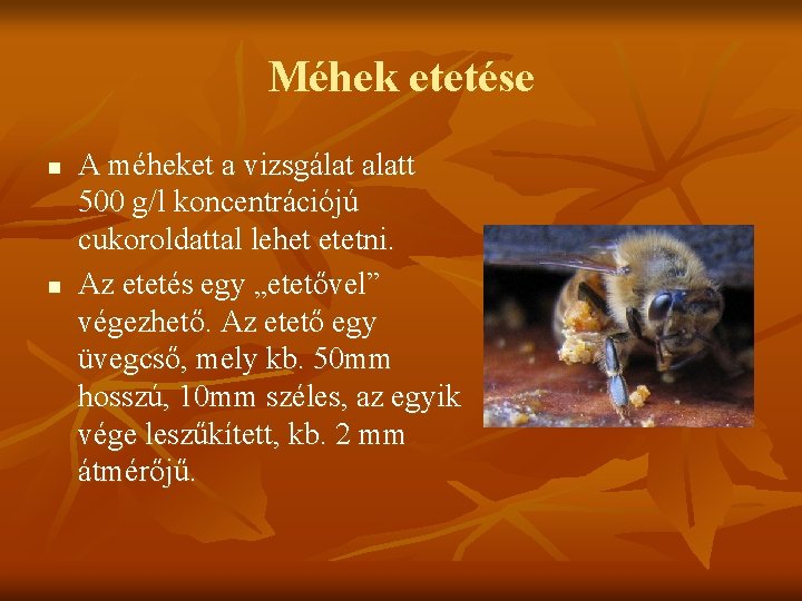 Méhek etetése n n A méheket a vizsgálat alatt 500 g/l koncentrációjú cukoroldattal lehet