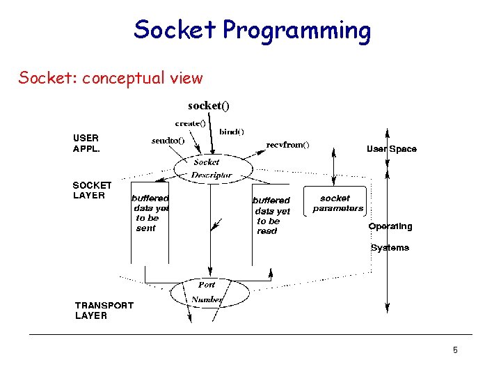 Socket Programming Socket: conceptual view socket() 5 
