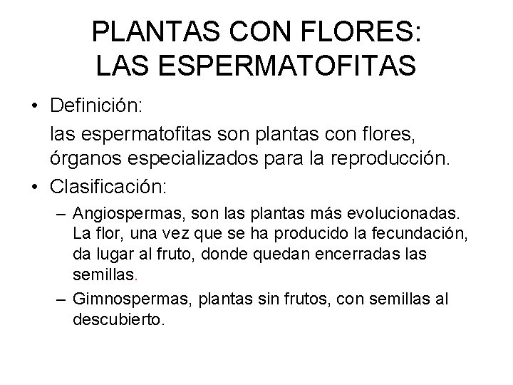 PLANTAS CON FLORES: LAS ESPERMATOFITAS • Definición: las espermatofitas son plantas con flores, órganos