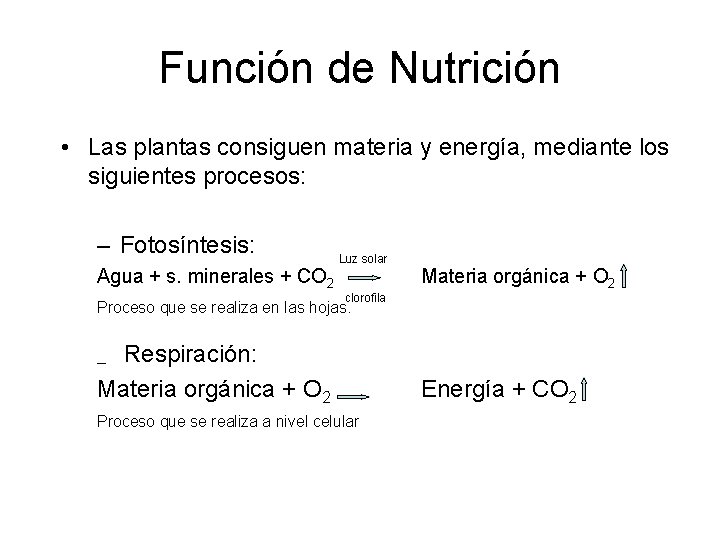Función de Nutrición • Las plantas consiguen materia y energía, mediante los siguientes procesos: