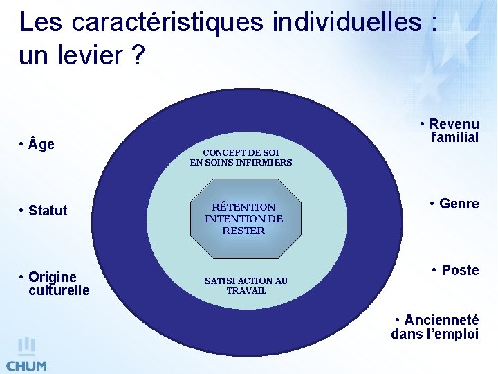 Les caractéristiques individuelles : un levier ? • ge • Statut • Origine culturelle