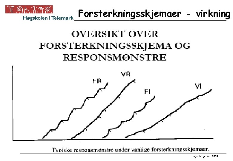 Forsterkningsskjemaer - virkning Inge Jørgensen 2009 
