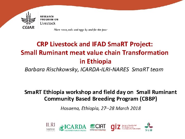 CRP Livestock and IFAD Sma. RT Project: Small Ruminant meat value chain Transformation in