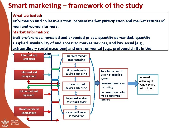 Smart marketing – framework of the study What we tested: Information and collective action
