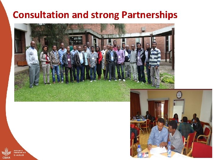 Consultation and strong Partnerships 