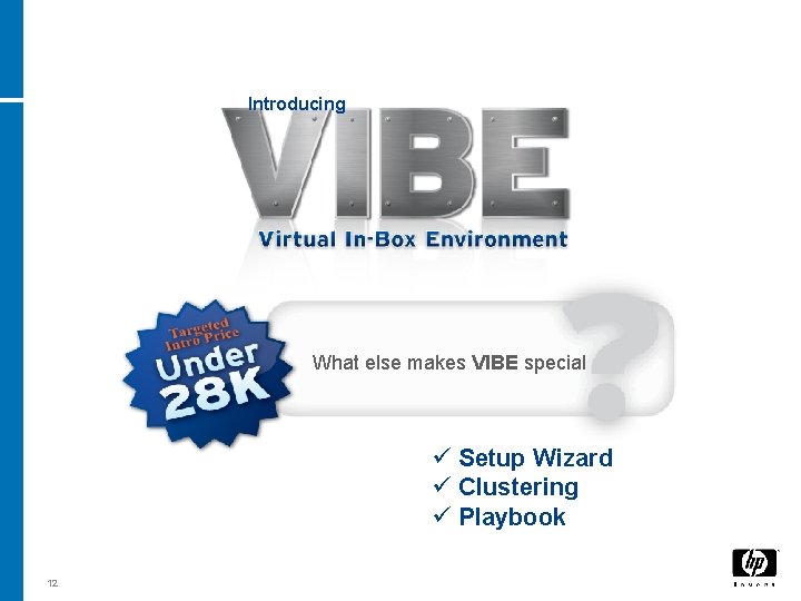 Introducing What else makes VIBE special ü Setup Wizard ü Clustering ü Playbook 12