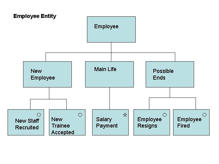 Employee Entity Employee New Staff Recruited New Trainee Accepted Main Life Salary Payment Possible