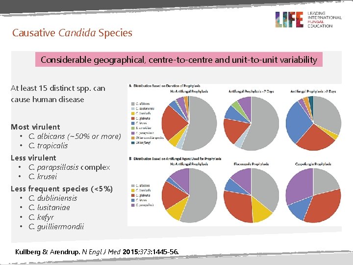 Causative Candida Species Considerable geographical, centre-to-centre and unit-to-unit variability At least 15 distinct spp. Causative Candida Species Considerable geographical, centre-to-centre and unit-to-unit variability At least 15 distinct spp.