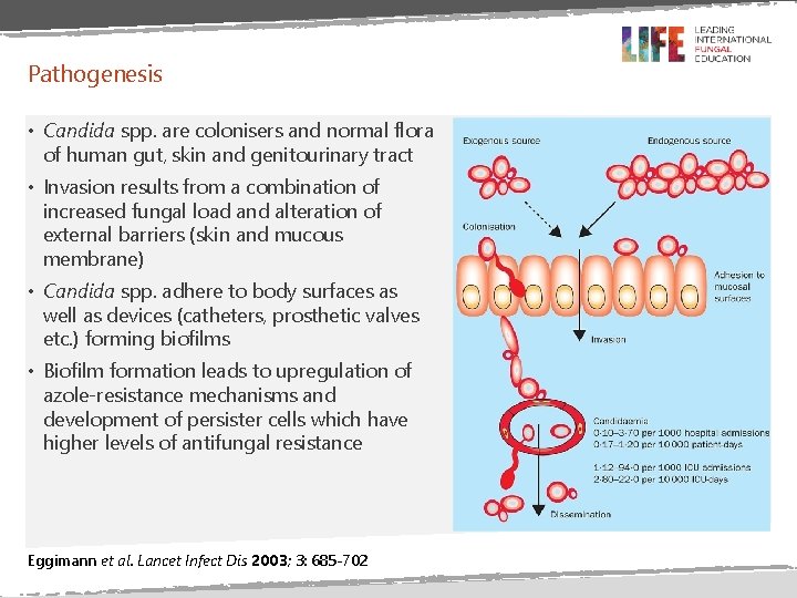 Pathogenesis • Candida spp. are colonisers and normal flora of human gut, skin and Pathogenesis • Candida spp. are colonisers and normal flora of human gut, skin and