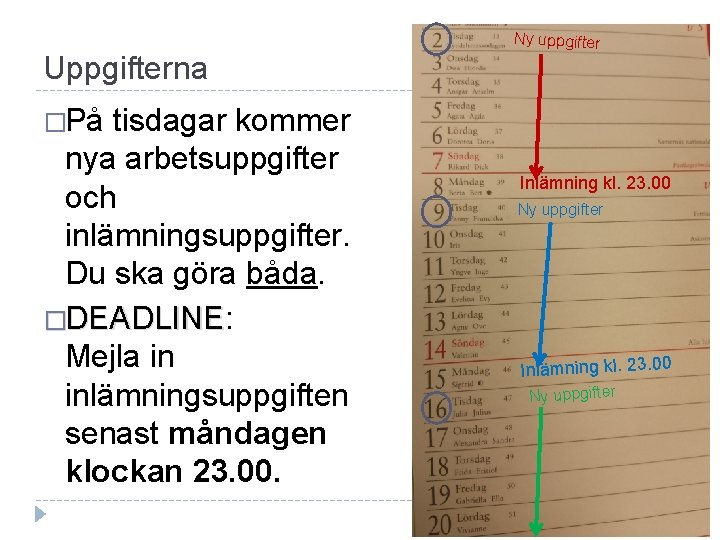 Uppgifterna tisdagar kommer nya arbetsuppgifter och inlämningsuppgifter. Du ska göra båda. �DEADLINE: DEADLINE Mejla