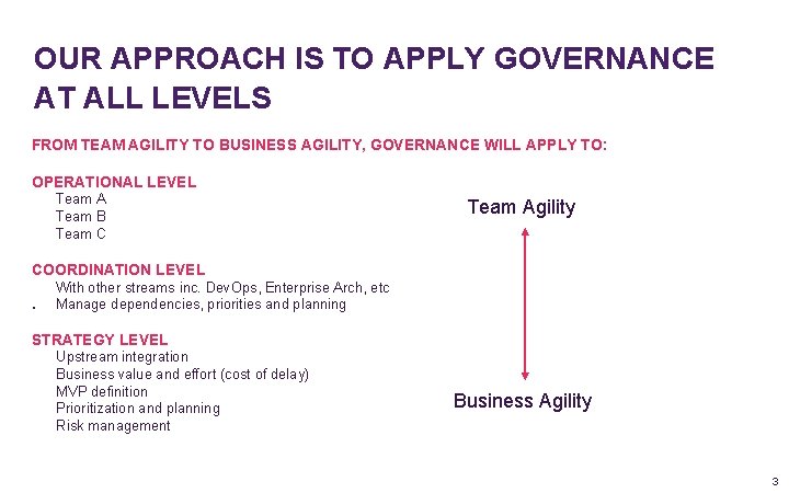 OUR APPROACH IS TO APPLY GOVERNANCE AT ALL LEVELS FROM TEAM AGILITY TO BUSINESS