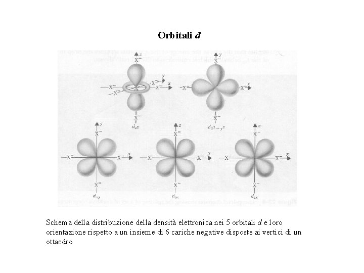 Orbitali d Schema della distribuzione della densità elettronica nei 5 orbitali d e loro Orbitali d Schema della distribuzione della densità elettronica nei 5 orbitali d e loro