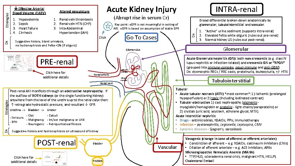 1. 2. 3. 4. Hypovolemia Sepsis Heart failure Cirrhosis Acute Kidney Injury Altered vasculature 1. 2. 3. 4. Hypovolemia Sepsis Heart failure Cirrhosis Acute Kidney Injury Altered vasculature
